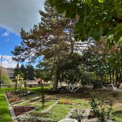 Фото Отель Таврия