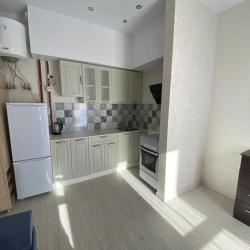 Фото Апартаменты Pluton Aparts в СНТ Агро