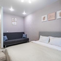 Апартаменты улучшенные Ахмерова 7