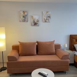 1-комнатные апартаменты стандарт