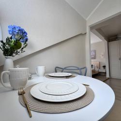 1-комнатные апартаменты улучшенные (мансарда)