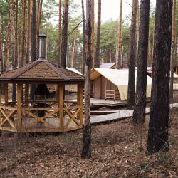 Фото Отель Сны Леса