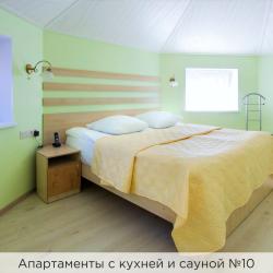 Двухуровневые апартаменты №10 с сауной