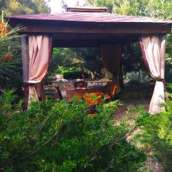 Фото Отель Соната