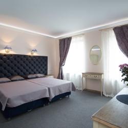 Фото Отель Серый Гусь