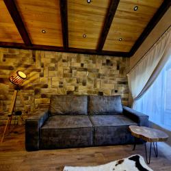 2-комнатный номер люкс семейный