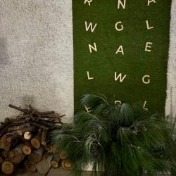 Фото Отель GreenWall (Гринволл)