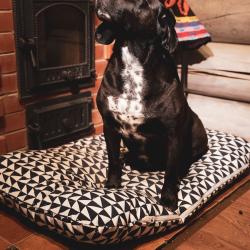 Фото Отель Новгородская Деревня