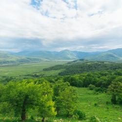 Фото Отель Dali (Дали)