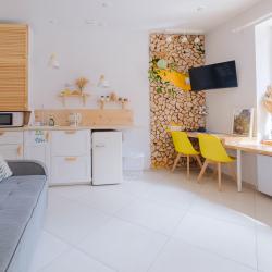 1-комнатные апартаменты студия