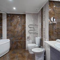 Номер люкс комфорт с 1 двуспальной кроватью