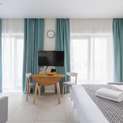 Junior Suite Park View