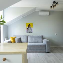 1-комнатные апартаменты стандарт (мансарда)