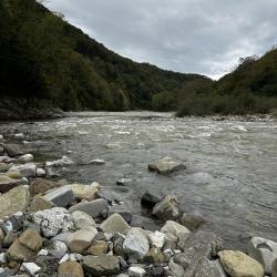 Фото Отель Лесное поместье