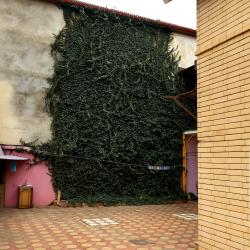 Номер 4 