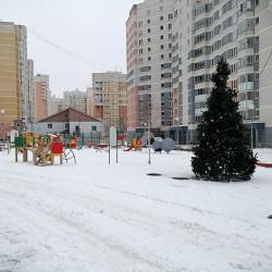 Фото Апартаменты на переулке Сосновый 10