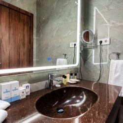 Фото Отель Wellness Hotel and Spa (Велнесс)