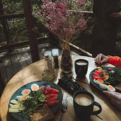 Фото Отель Хвойная хижина