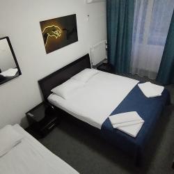 Фото Отель Гостевой дом Алма