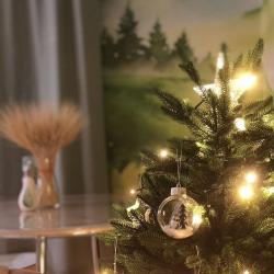 Фото Отель Лиcичкинhousе на улице Балкарская 21с4