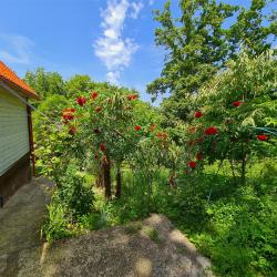 Фото Отель Оранжевое Солнце