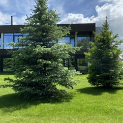 Фото Отель Eco Forrest Club SPA (Эко Форрест Клаб СПА)