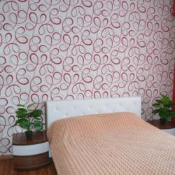 Фото Отель Планета