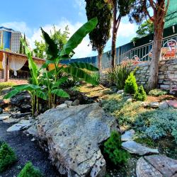 Фото Отель Атлант