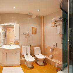 Полулюкс с мезонином (Терем) 3*
