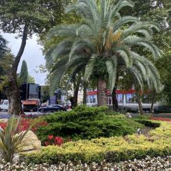 Апартаменты на переулке Рахманинова 49/15 — 5c89e5a3a794f969b0bf384274c14016