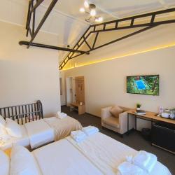 Номер полулюкс с 1 односпальной и 1 двуспальной кроватью