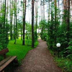 Фото Апартаменты Яхонтовый Лес