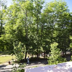 Номер стандарт с 2 односпальными кроватями с балконом