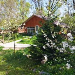 Фото Отель Уютные домики с выходом на реку Белая