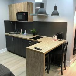 Фото Отель Лебедев Лофт на проспекте Ракетостроителей