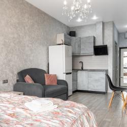 1-комнатные апартаменты студия