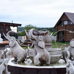 Фото Отель Загородный клуб Петергоф