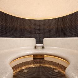 Фото МИРРОС Montis MediSpa Отель Пятигорск 5* (Монтис МедиСпа)