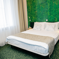 Номер стандарт с 1 двуспальной кроватью