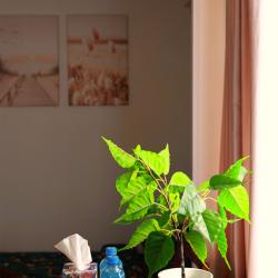 Фото Апартаменты на улице Серова 2