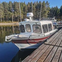 Фото Отель Коттедж Солнечный