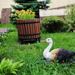 Фото Отель Золотой Гусь