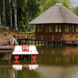 Фото Парк-Отель Басовское