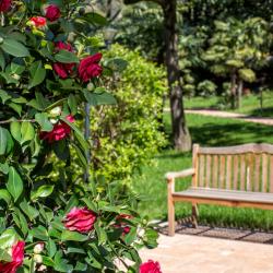 Фото Swissôtel Resort Камелия (Свиссотель Камелия)