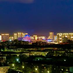 Фото Апартаменты на проспекте Технический 84