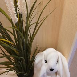 Фото Апартаменты на улице Долгининская 6