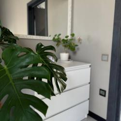 Фото Отель Новая дача