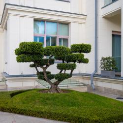 Grand Royal Residences (Гранд Роял Резиденс) — 5d4a9f4201e185cc553fe19a11aa872e