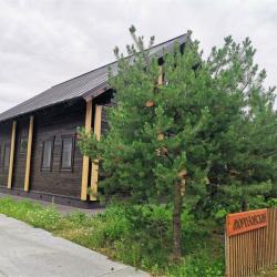 Коттедж премиум Морозовский