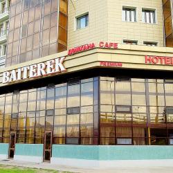 Фото Отель Baiterek Premium (Байтерек Премиум)